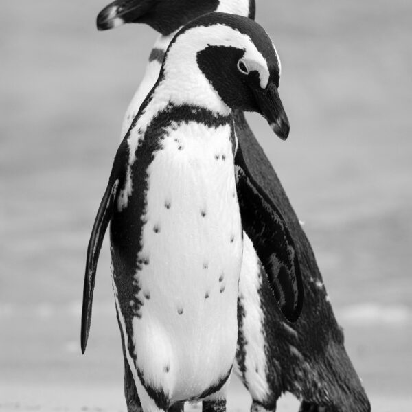 Gott in mir – als Freund entdecken